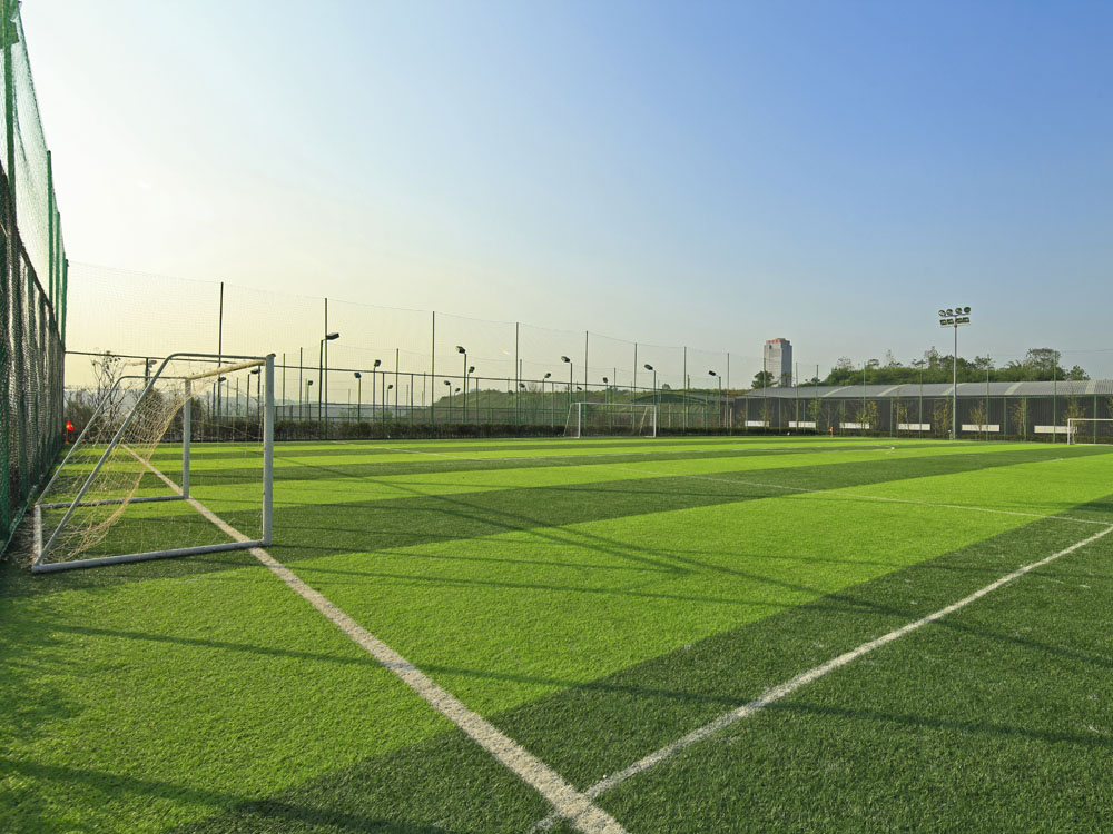 足球场草坪