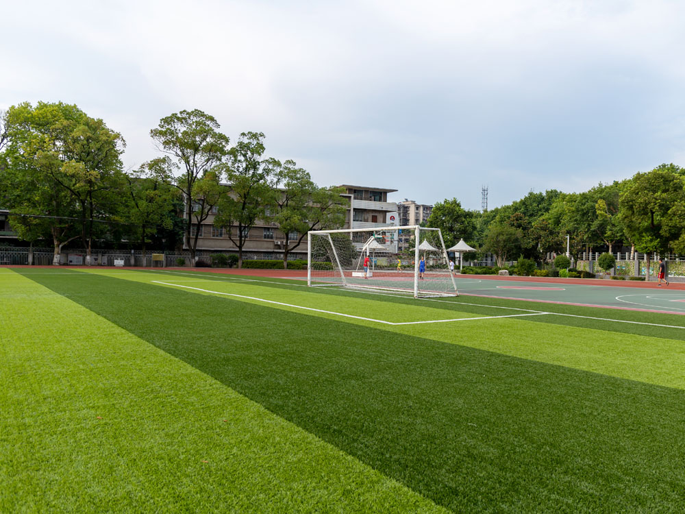 足球场草坪