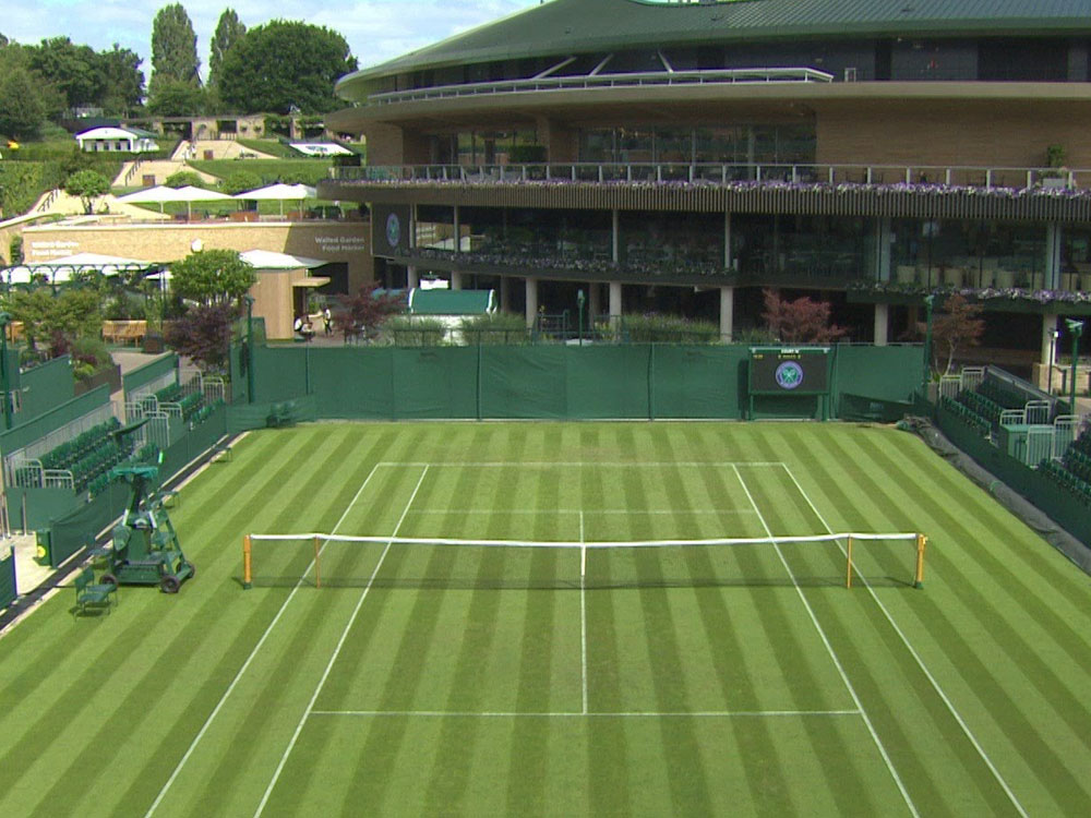 网球场草坪