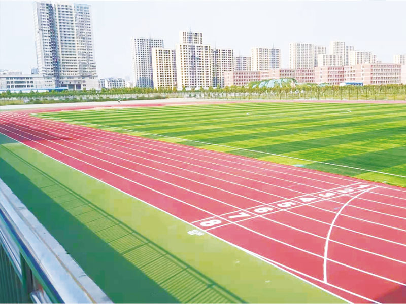 庆云云天技术学院运动