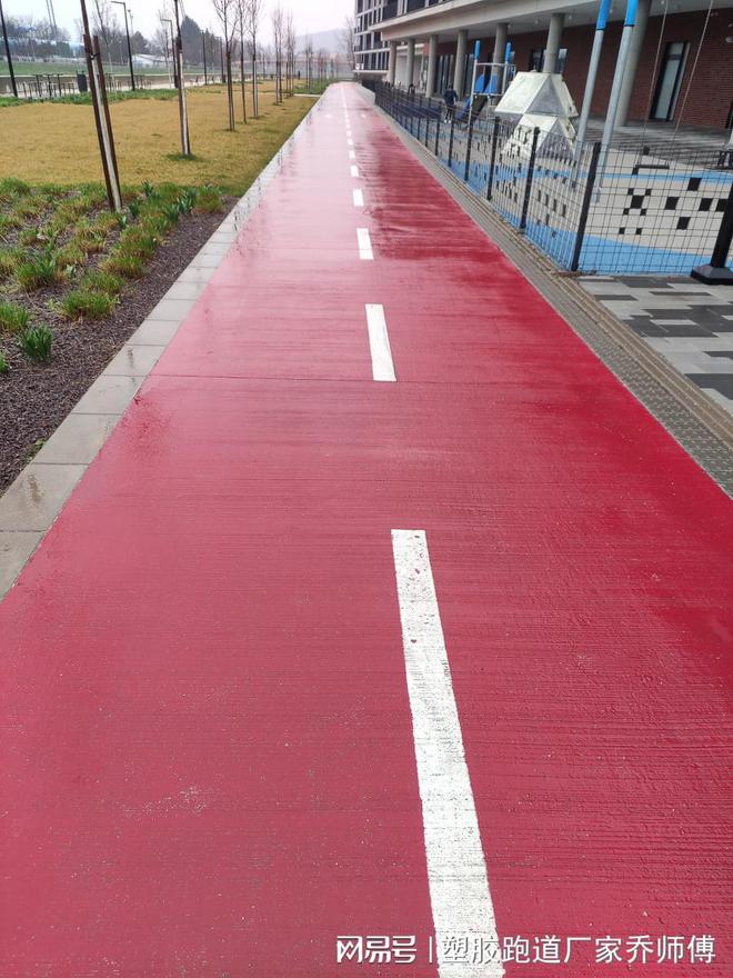 B体育：塑胶跑道清洁之道：从入门到精通(图2)