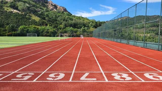 塑胶跑道的建设：打造专业运动新地标(图2)