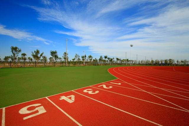B体育：复合型塑胶跑道：打造现代运动新体验(图3)