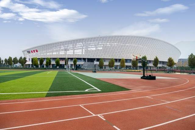 B体育：复合型塑胶跑道：打造现代运动新体验(图2)