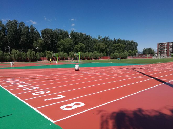 塑胶跑道中氧化镁的作用是什么？(图2)