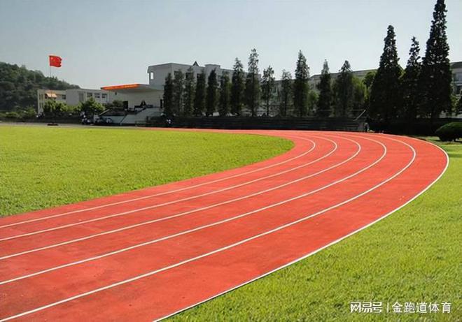 塑胶跑道掉色难道只能重新铺设？别急先了解原因！(图4)