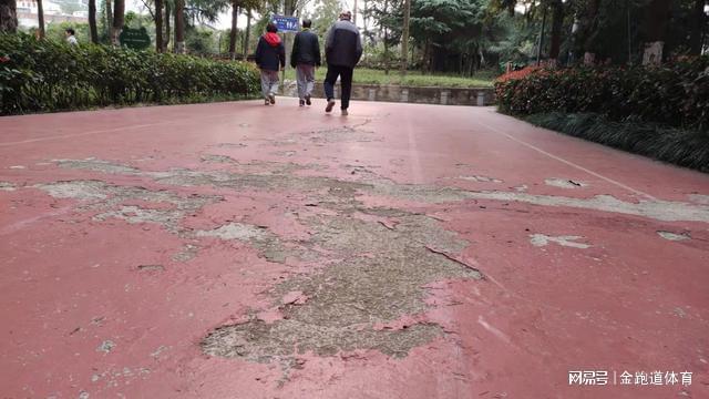 塑胶跑道掉色难道只能重新铺设？别急先了解原因！(图3)