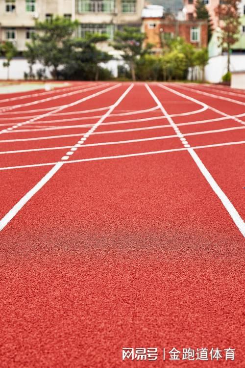 塑胶跑道掉色难道只能重新铺设？别急先了解原因！(图2)