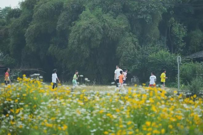 B体育：开启报名｜“百城千乡万村·社区”全民健身系列-“庆六一·迎端午”2024年崇州市绿道健身亲子欢乐跑活动(图3)