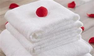 B·sport（中国体育）：2024健身器械行业发展前景、消费人群趋势(图4)