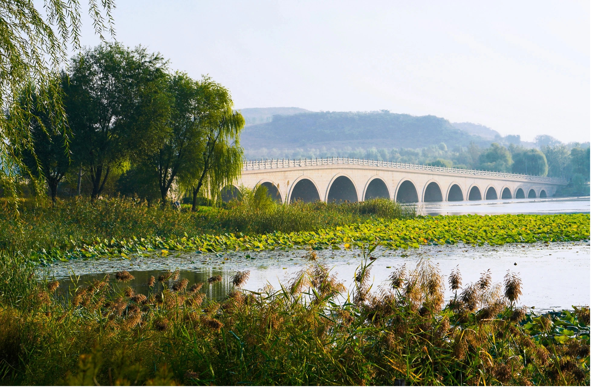 B·sport（中国体育）：SHOW青春跑起来！6月16日让我们相约济南华山湖！_泉城新闻_大众网(图3)