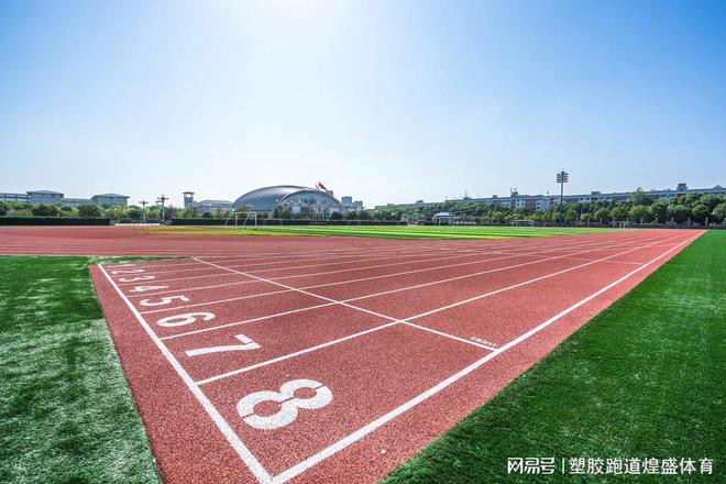 B·sport（中国体育）：塑胶跑道材料分类你知多少？(图2)