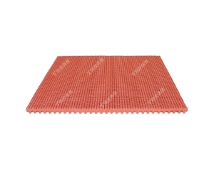 广州同欣体育股份有限公司(图2)