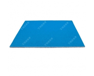 广州同欣体育股份有限公司(图4)