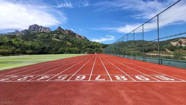 透气型与混合型塑胶跑道：跑道建设的双璧之选(图2)