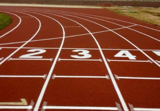 塑胶跑道是用什么材料做的(图3)