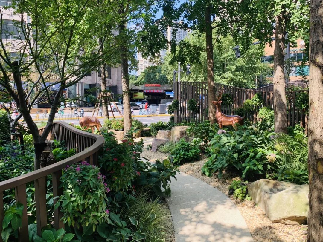 有奖征集！快来给家门口的口袋公园起个名字吧！(图1)