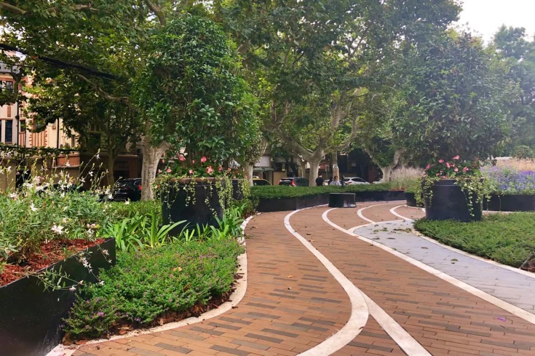 有奖征集！快来给家门口的口袋公园起个名字吧！(图2)