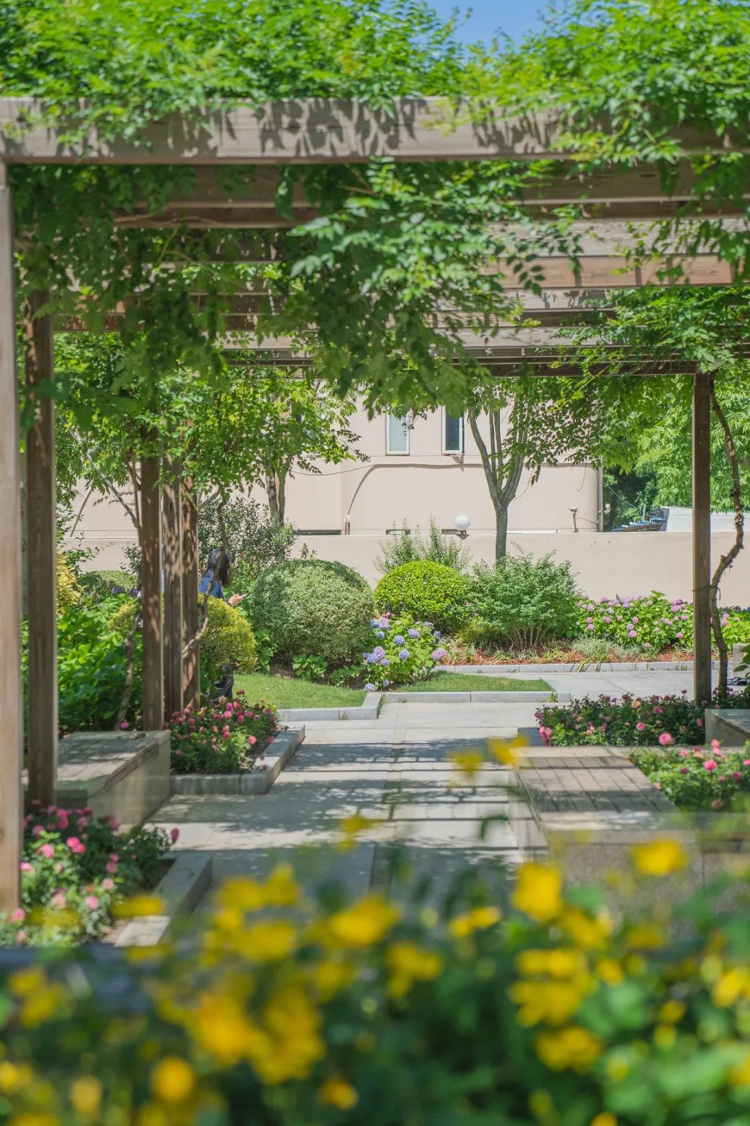 有奖征集！快来给家门口的口袋公园起个名字吧！(图3)