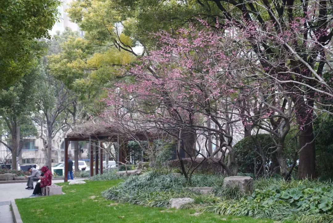 有奖征集！快来给家门口的口袋公园起个名字吧！(图4)