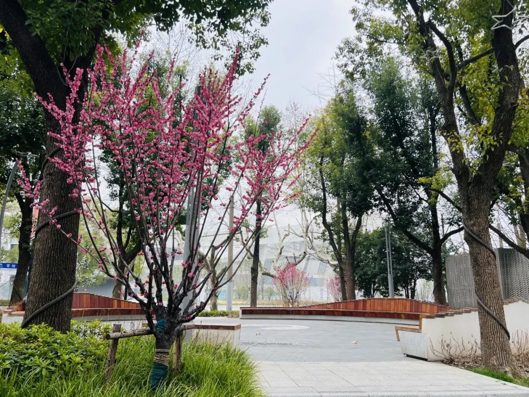 有奖征集！快来给家门口的口袋公园起个名字吧！(图5)