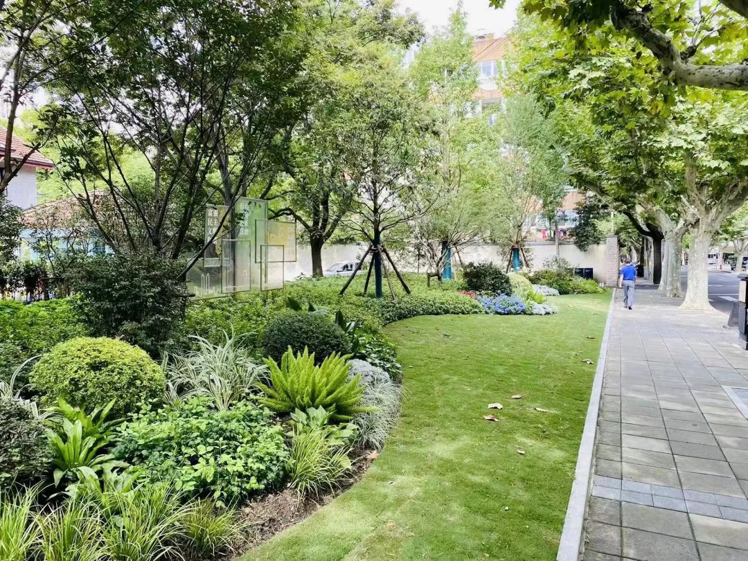 有奖征集！快来给家门口的口袋公园起个名字吧！(图6)