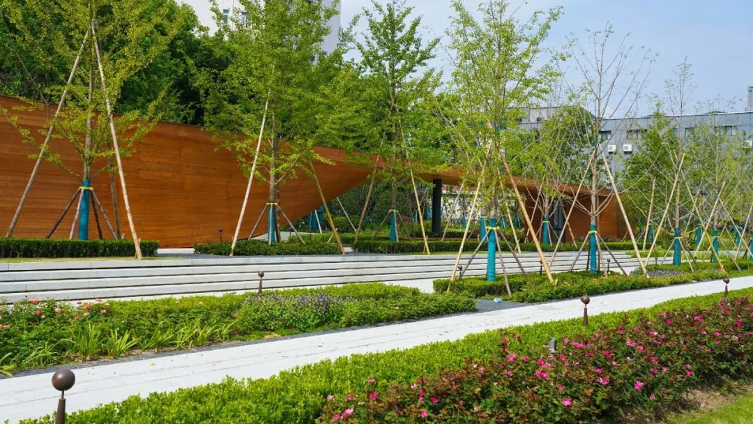 有奖征集！快来给家门口的口袋公园起个名字吧！(图7)