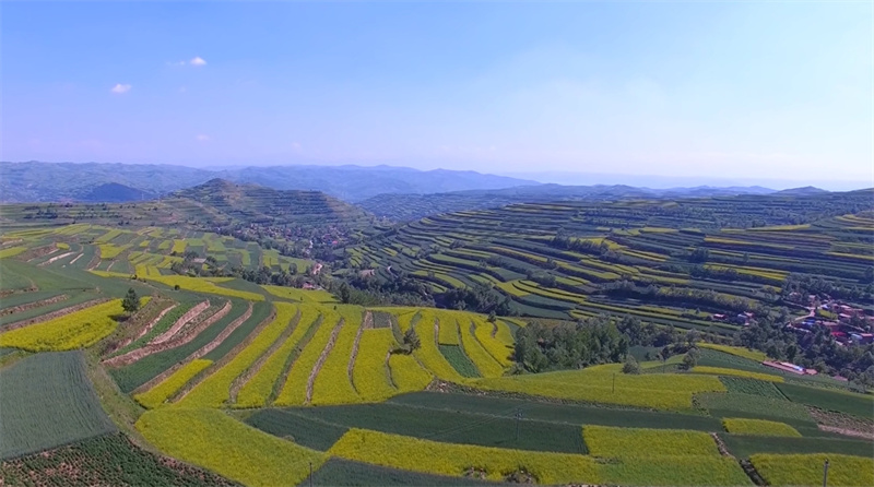 这个七月七彩互助热情相迎环湖赛(图4)