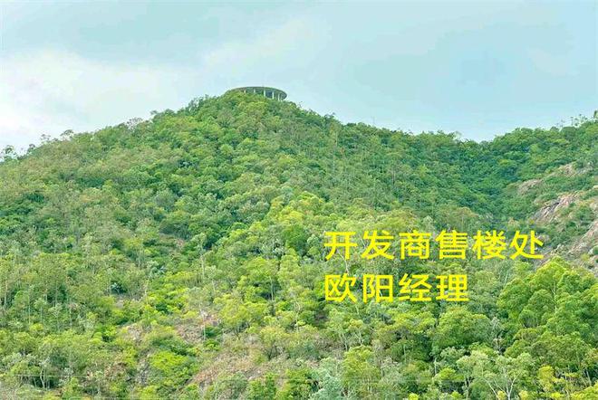 新世界临海揽山剩余情况还剩下多少-新世界临海揽山开发商是谁(图2)