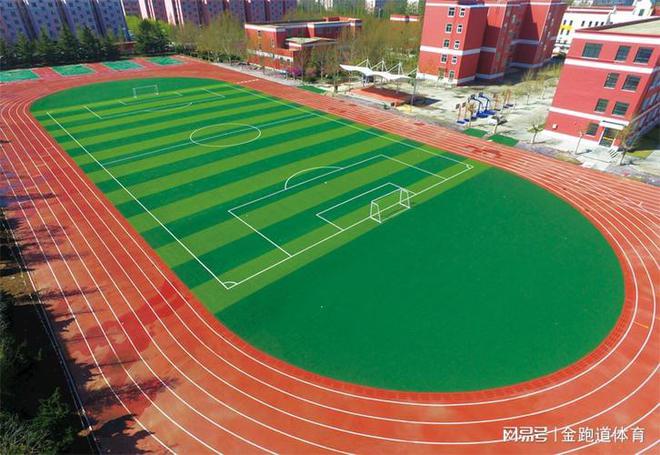 塑胶跑道类型详解：选择最适合的跑道材质(图3)