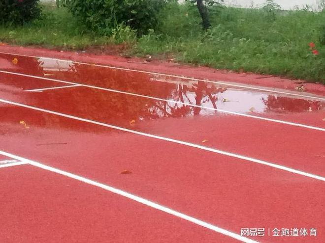 解决塑胶跑道积水问题的终极指南(图2)