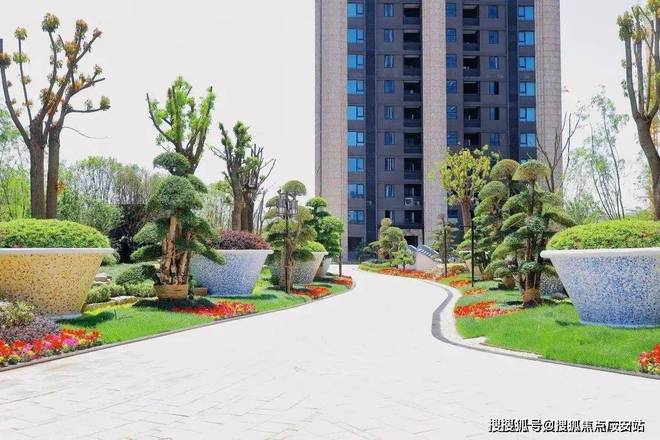 泗泾绿中海2024网站-泗泾绿中海楼盘详情-上海房天下(图4)