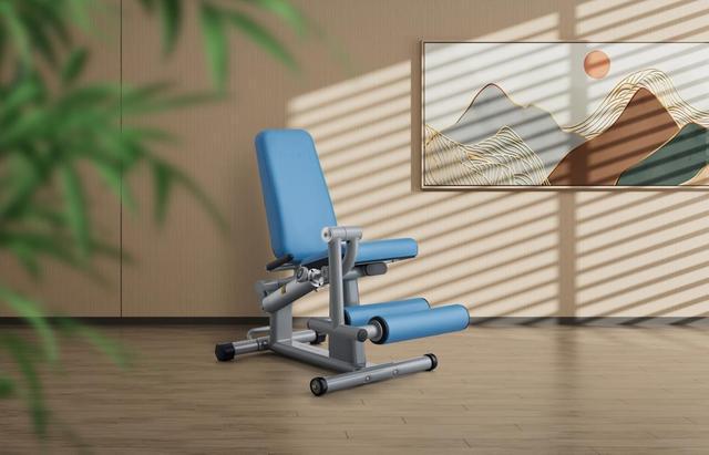 舒华体育主笔的国家标准《健身器材适老化通用要求》顺利通过审查(图2)