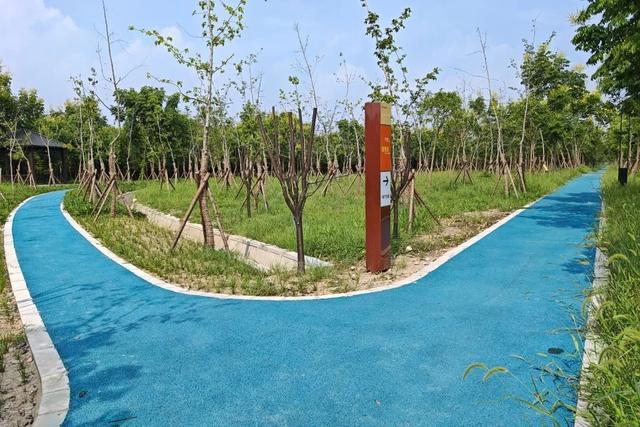 奉贤这个村里的体育健身设施迎来全面升级！(图8)