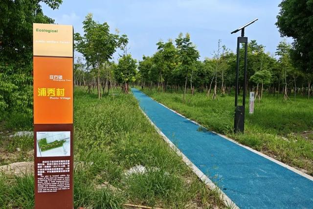 奉贤这个村里的体育健身设施迎来全面升级！(图7)