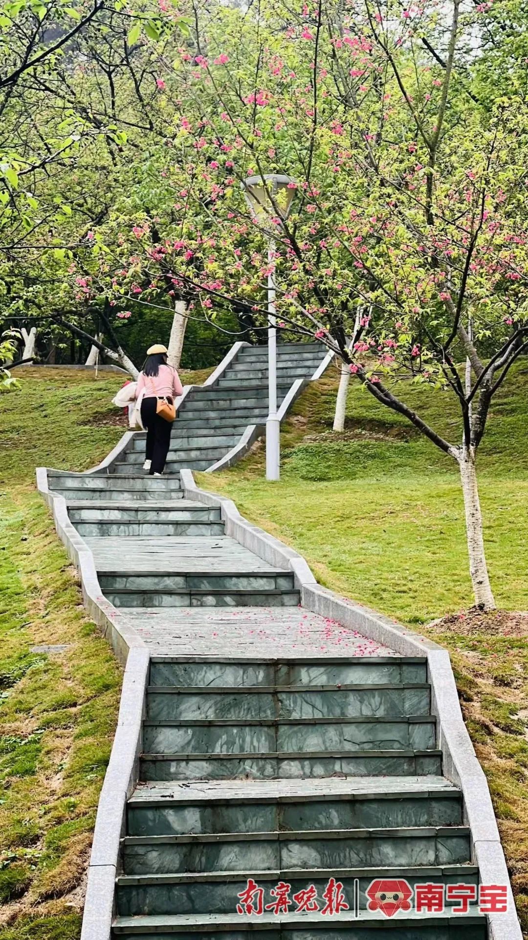 健身赏景两不误！南宁这座体育公园部分设施开放使用(图2)