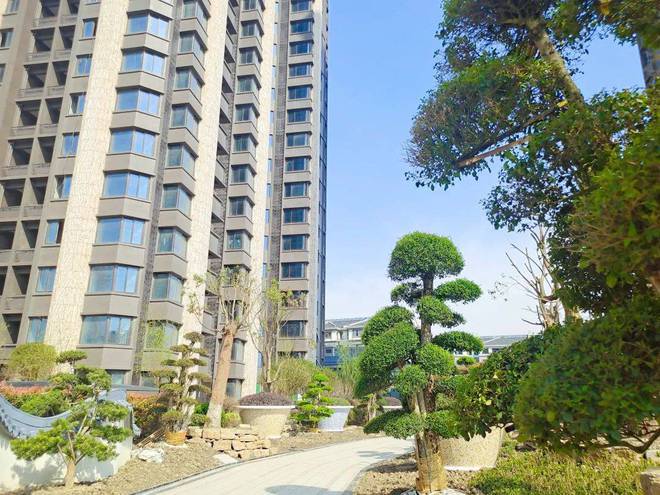 2024泗泾绿中海（网站）泗泾绿中海楼盘详情户型价格地址(图10)