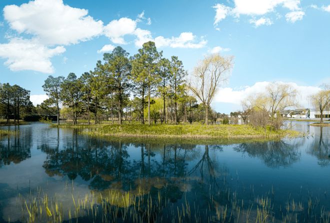 绿城乌镇雅园（绿城乌镇雅园）2024年网站丨详情(图5)