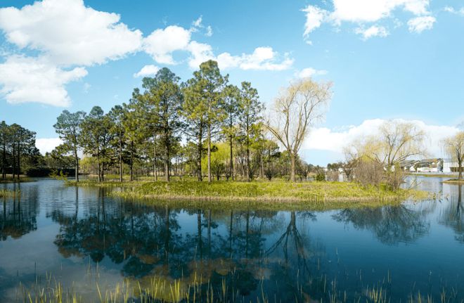 B体育：【2024】乌镇绿城雅园售楼处发布@绿城雅园@售楼处网站(图5)