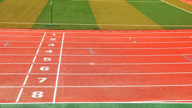 B体育：2024年全国塑胶跑道市场容量(图2)