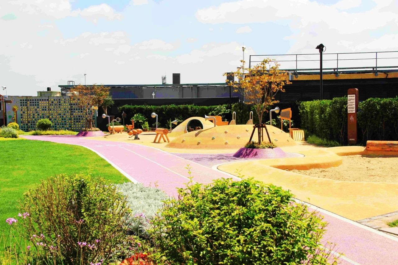 B体育：长宁这几处奥运同款紫色跑道超~级~出~片！(图3)