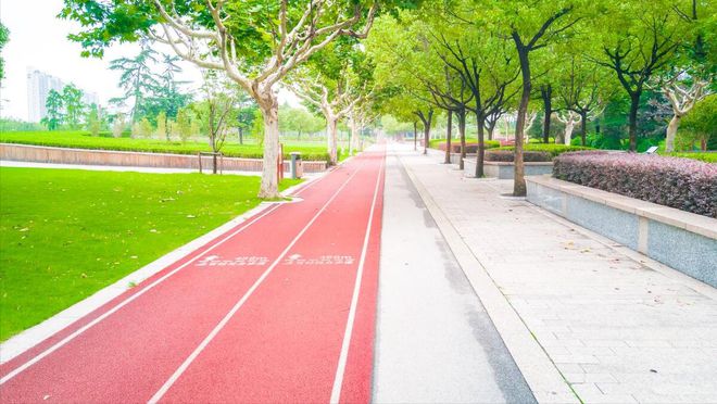 B·sport（中国体育）：塑胶跑道基础结构(图5)