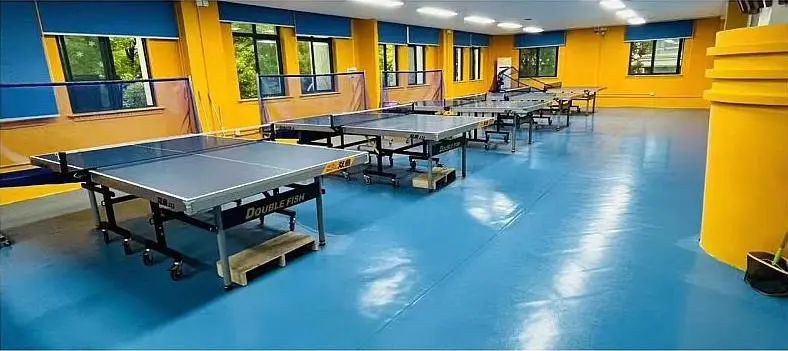 快来长宁这些运动场馆体验“奥运赛事同款”吧～(图6)