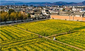 中国健身器械行业产业链供需布局与未来趋势预测：2024年市场规模将达到7996亿元(图8)