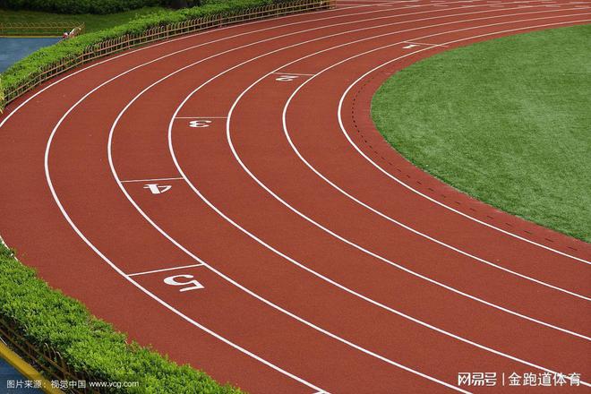 《解析塑胶跑道内外圈的差异之谜(图2)