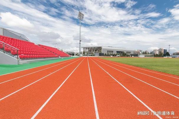 《解析塑胶跑道内外圈的差异之谜(图4)