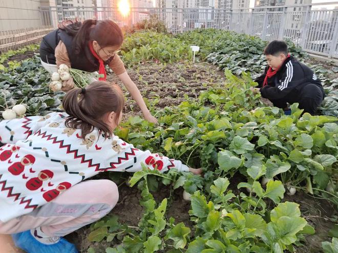 1年、10年、20340年不同教龄教师代表共同承诺：请相信西湖教育人一定会把西湖教育办好！(图8)