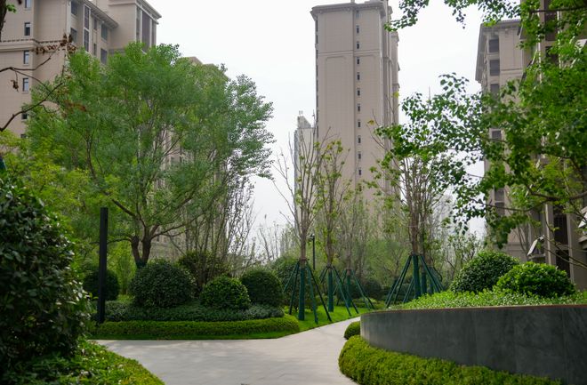 B体育：业界典范！这才是对“产品兑现力”的硬核诠释！(图19)