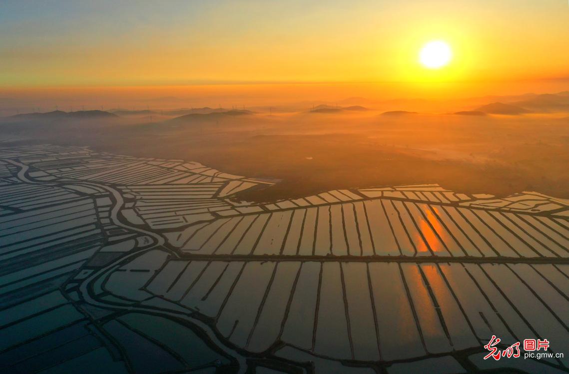 “海上田园”秋景如画(图2)