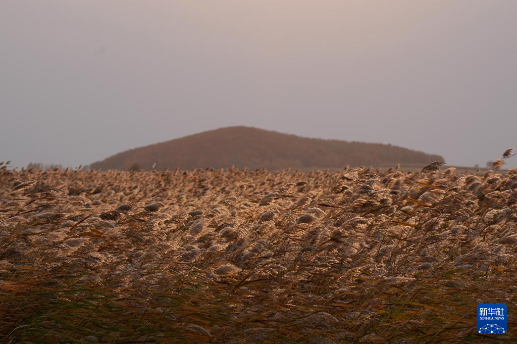 富锦湿地秋景如画(图2)